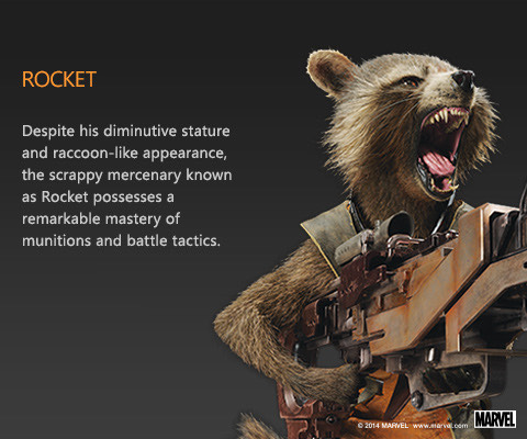 Rocket